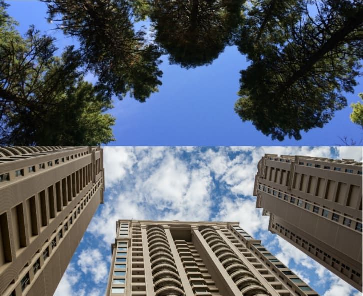 gedung pencakar langit, pohon, dan deret kursi