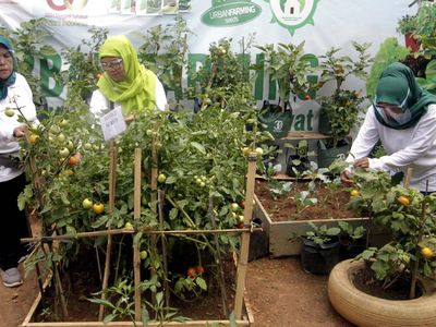 Geliat Pertanian Perkotaan