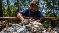 Menurut data Kementerian Perindustrian, industri pengolahan karet nasional pada tahun 2019 berkontribusi terhadap perolehan devisa negara hingga menembus sebesar USD 3,422 miliar dan pada tahun ini terdapat 163 industri karet alam dengan serapan tenaga kerja langsung sebanyak 60 ribu orang.