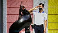 Tiap pagi dan sore mereka kita keluarin. Mereka paling suka tuh, apalagi jika kita kasih mainan, nanti mereka main dengan itu. Dan lucunya, mereka ini paling nggak suka dicuekin lho. Misalnya kita lagi dalam kondisi mood jelek nih dari rumah, dan sampai di kandang tidak sapa mereka. Mereka bisa merasakan itu dan mood mereka juga akan jelek. Mereka akan balik ciekin kita, hingga pas pertunjukan mereka akan cuekin kita, cerita Rizky. (Rafida Fauzia/detikcom)