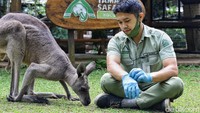 Darwin adalah kanguru abu-abu Asutralia yang menjadi penghuni kawasan Baby Zoo di Taman Safari Bogor. 