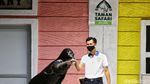 Gemas Banget! Singa Laut Taman Safari Berpose dengan Keepernya