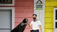 Bicara tentang singa laut, ternyata mereka punya makanan favorit. Singa laut suka ikan laut, kalau di Tama Safari Bogor, mereka dikasih makan ikan kembung, ikan layang dan cumi-cumi. Adapun kesukaan mereka adalah ikan kembung dan layang. (Rafida Fauzia/detikcom)