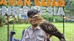 Potret Burung Garuda Bersama Pawangnya