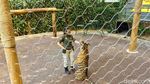 Mengenal Perempuan Pawang Harimau