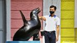 Gemas Banget! Singa Laut Taman Safari Berpose dengan Keepernya