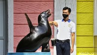 Adapun keseharian dari Rizky sebagai keeper singa laut dimulai dari mengecek kesehatan singa laut ini. Mereka sering datang lebih awal dari jam kerja memastikan satwa dalam kondisi baik. (Rafida Fauzia/detikcom)