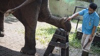 Bagaimana menurut Anda?