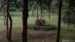 Taman Kota di Jakarta Kembali Sunyi