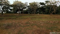 Adapun selama penutupan berlangsung, akan dilakukan pembersihan rutin di taman kota tersebut.