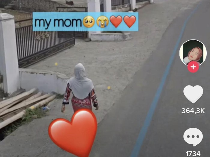 tiktok TikTok Ledian yang melihat sang ibu di Google Maps
