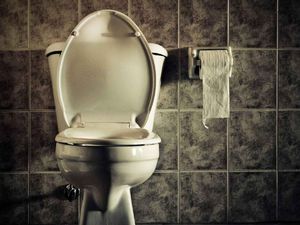 Diet Sampai Tak BAB Berhari-hari, Amankah? Catat, Ini Pesan Dokter Gizi