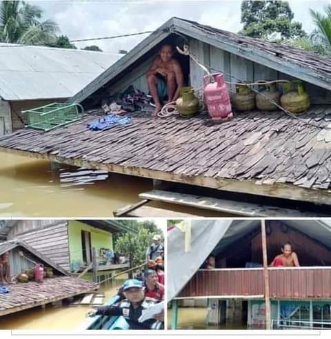 Banjir di Kalteng.
