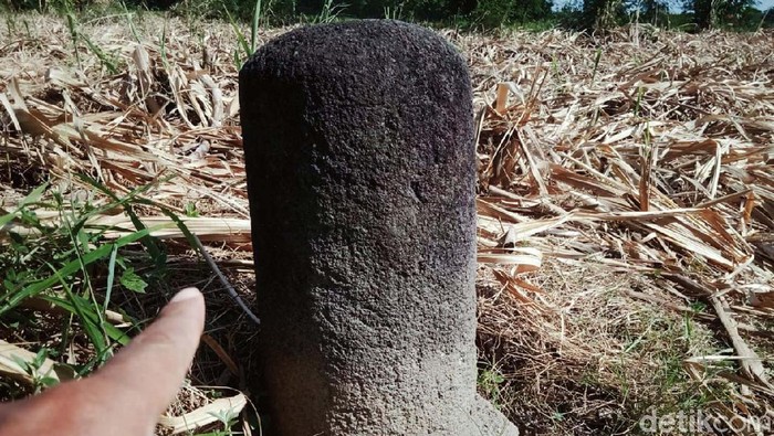 Begini Patok Batu Batas Wilayah Masa Mataram Kuno Sebuah benda diduga lingga patok ditemukan di lahan tebu di Desa Brangkal, Kecamatan Karanganom, Klaten. Lingga patok tersebut merupakan peninggalan Mataram kuno.
