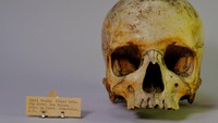 Dilansir dari AP, hal itu dilakukan sebagai upaya untuk proses dekolonisasi sejumlah koleksi yang dianggap melanggengkan rasisme. Hugh Warwick/Pitt Rivers Museum, University of Oxford via AP.