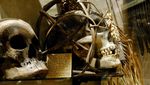 Dampak Protes Antirasis, Museum Ini Hapus Koleksi Kerangka Manusia