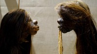 Museum Pitt Rivers yang menjadi bagian dari Universitas Oxford di Inggris berhenti memamerkan 120 kerangka manusia, termasuk koleksi mereka yang tersohor shrunken heads atau kepala yang disusutkan. Hugh Warwick/Pitt Rivers Museum, University of Oxford via AP.