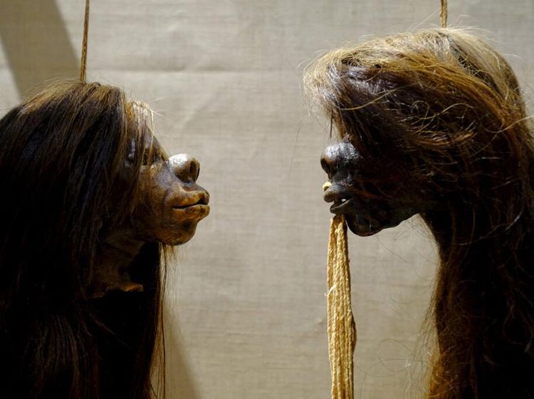 Dampak Protes Antirasis, Museum Ini Hapus Koleksi Kerangka Manusia