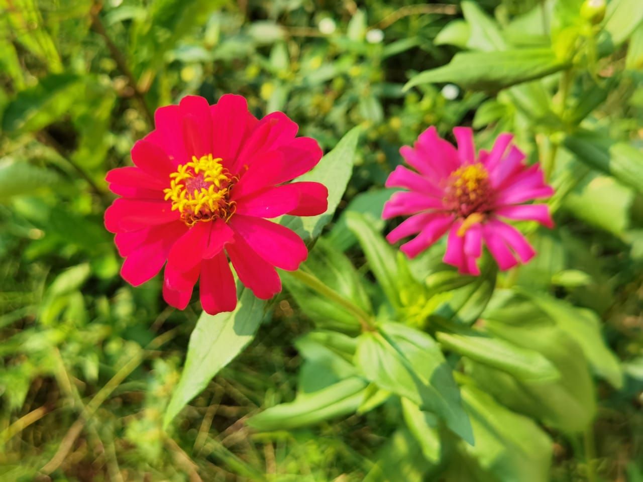 Huawei P40 Pro