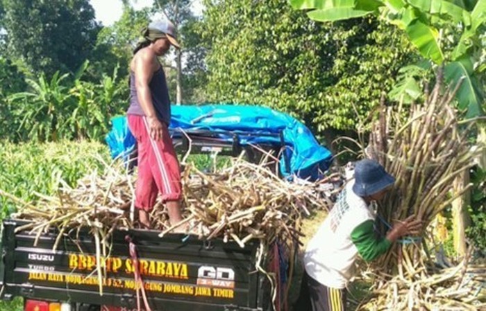 Kementan
