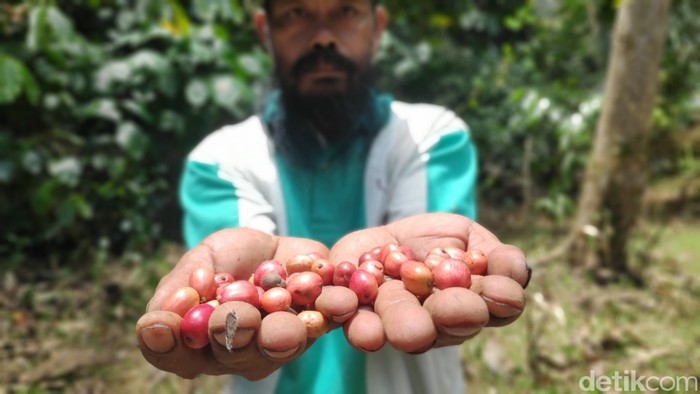 Kopi karst khas Maros