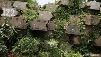 Tampak sheet pile beton ditumbuhi rumput liar.