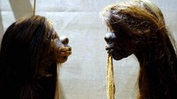 Alasannya, karena museum ini sedang melakukan usaha dekolonialisasi terhadap koleksi-koleksi mereka yang berasal dari negara dunia ketiga. Keputusan ini bertepatan dengan makin massifnya gerakan Black Lives Matter. (Hugh Warwick/Pitt Rivers Museum, University of Oxford via AP)