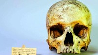 Koleksi-koleksi eksotis tersebut dibawa dari seluruh penjuru dunia, dimana Kerajaan Inggris pernah menjadikan tanah itu sebagai daerah jajahannya. Namun sekarang, koleksi itu tinggal kenangan. (Hugh Warwick/Pitt Rivers Museum, University of Oxford via AP)