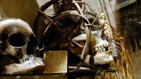 Ribuan wisatawan datang ke museum ini untuk melihat koleksi eksotis tersebut. Namun itu dulu, sekarang tidak lagi. Koleksi tersebut akan disimpan dan tidak akan dipajang lagi di display museum. (Hugh Warwick/Pitt Rivers Museum, University of Oxford via AP)