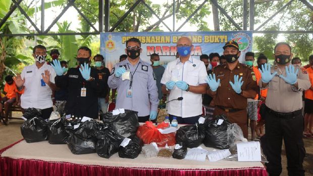 Polda Papua musnahkan barang bukti narkoba berupa 7 kg ganja dan 141 gram sabu dari 16 tersangka (dok Polda Papua)