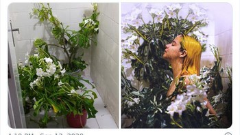 Bisa pula memasukan tanaman ke kamar mandi. Foto: Bored Panda 