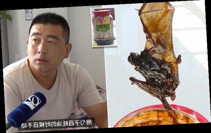 Waduh! Keluarga Ini Temukan Bangkai Tikus di Dalam Kaleng Saus Tiram