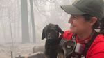 Penyelamatan Anak Anjing dari Kebakaran California