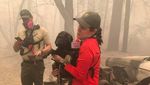 Penyelamatan Anak Anjing dari Kebakaran California