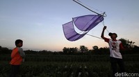 Sejumlah anak bermain layang-layang di areal persawahan di Kampung Seyegan, Boyolali, Jawa Tengah, Selasa (15/9/2020).