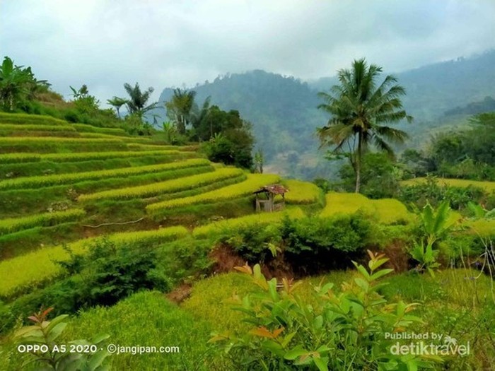 Desa Gunung Jampang
