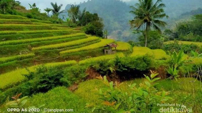 Desa Gunung Jampang