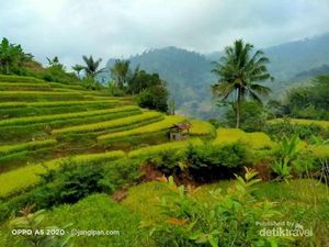 Ini Gunung Jampang, Destinasi Desa Asri di Garut Selatan