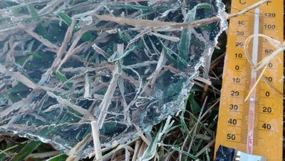 Potret Embun Es Dieng Pagi Ini, Suhunya Minus 5 Derajat
