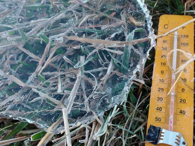 Potret Embun Es Dieng Pagi Ini, Suhunya Minus 5 Derajat