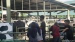 Agrowisata Keren di Berastagi