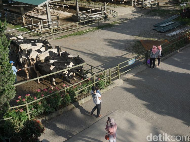 Agrowisata Keren di Berastagi