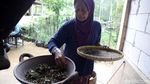 Menikmati Indahnya Panorama Kebun Teh Nglinggo