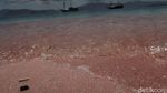 Potret Long Pink Beach yang Aduhai
