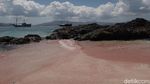 Potret Long Pink Beach yang Aduhai