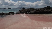 Lihat deh, warna laut yang hijau berpadu indah dengan pasir pink.