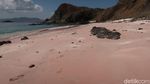 Potret Long Pink Beach yang Aduhai