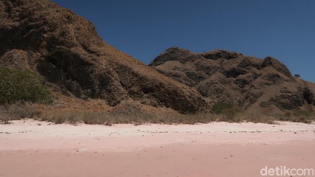 Long Pink Beach