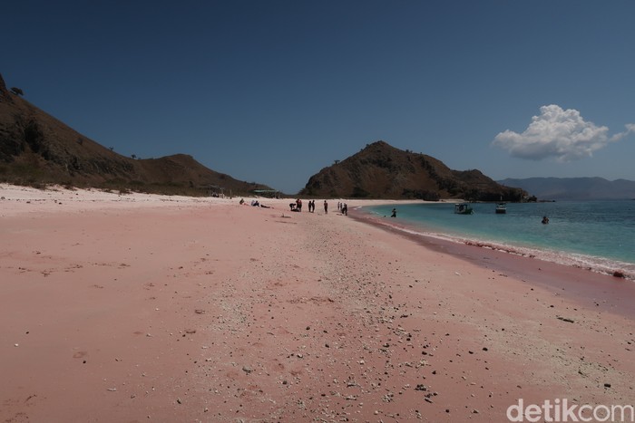 Long Pink Beach
