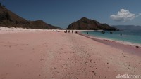 Inilah Long Pink Beach yang ada di Pulau Komodo.